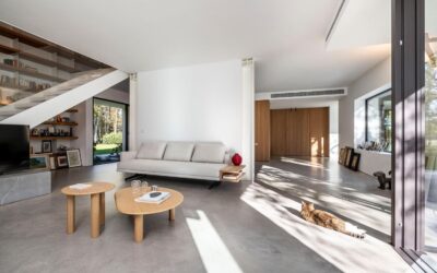 Article 2 Lorem ipsum dolor